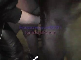 Animal Hd Porn