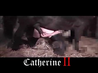 Is Watching Animal Porn Illegal In India