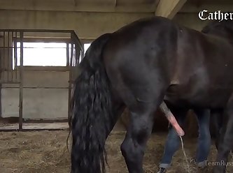 Big Ass Animal Porn