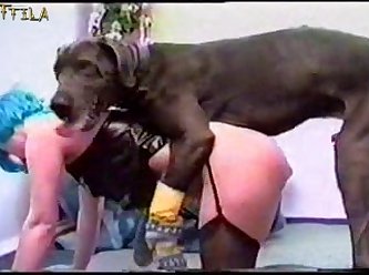 Fimes Porno Animal