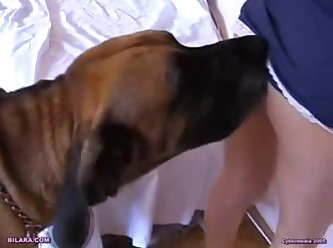 Porno Com Animal Gato