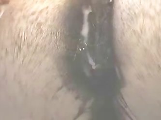 Horse Porno Animal