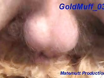 Porno Trans Animal