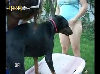 Fimes Porno Com Animal
