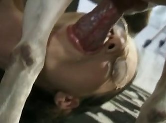 Video Porno Animal E Mulher