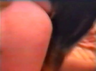 Zoo Animal Tube Porno