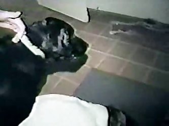 Samba Porno Animal