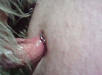 Porno Com Animal Gif