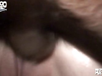 Porno Animal 2022