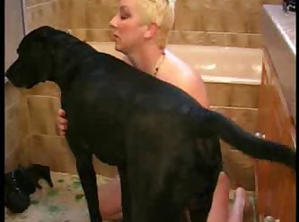 Porno Gays Animal