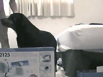 Little Boy And Girl Xxx Porn