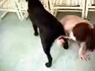 Chanel Preston Femdom Porn Xxx