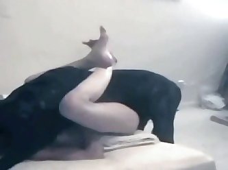 Yoga Xxx Porn