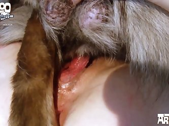 Mia Khalifa Video Xxx Porn