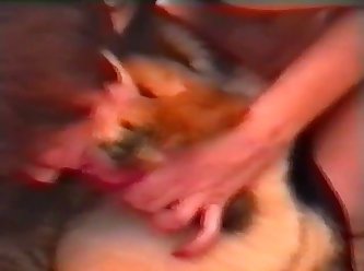 Xxx Porn Vip