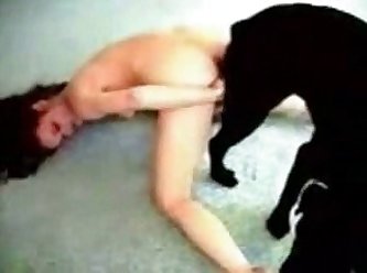 Kitten Xxx Porn