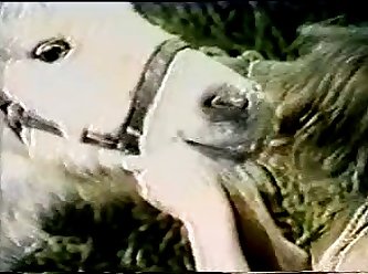 Porn Video Xxx Sexy