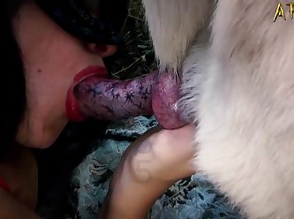 Best Lesbian Porn Xxx