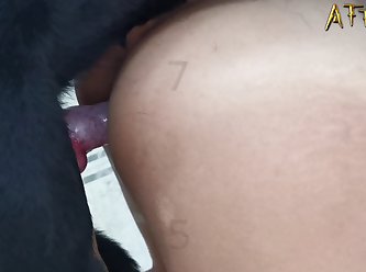 Blowjob Cum Porn Xxx