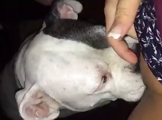 Xxx Porn Stare