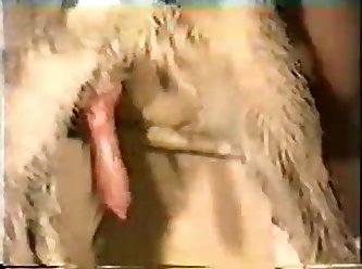 Hot Porn Xxx Movies