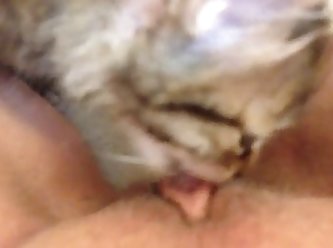 Tik Tok Porn Xxx Videos
