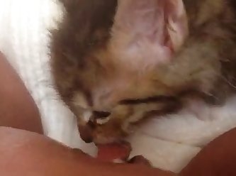 Face Riding Xxx Porn