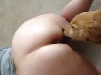 Katie Hill Revenge Porn Xxx