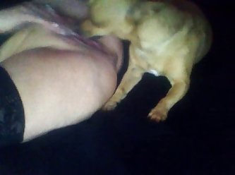 Xxx Porn Srar
