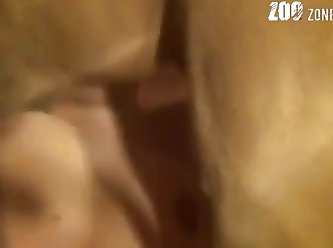 Animal Sex Xxxvideo