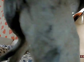 Hot Zoo Porn