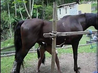Asian Zoo Porn