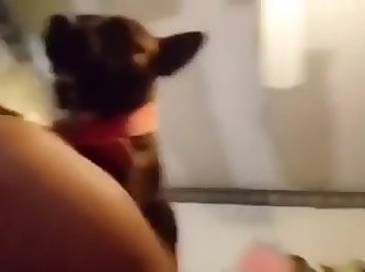 Sofia The Baddie Dog Video Leaked Porn