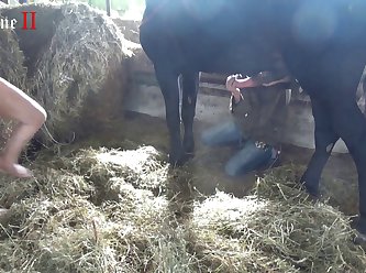 Xxx Video By Xnxx