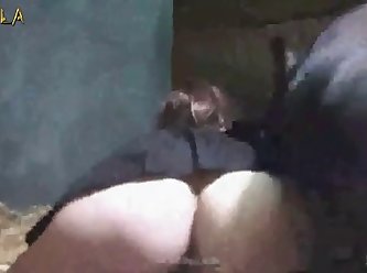 Animal Crossing Porn Meme boar Video