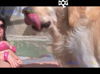 Animal Sex With Wimen