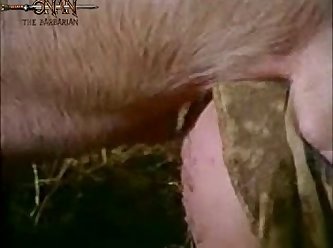 Alisha Zoo Porn