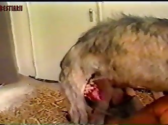 Animal Sex Mms Video