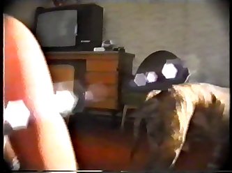 Do Animal Sex