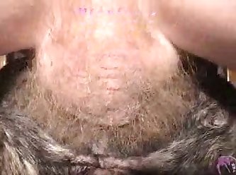 Dog Porn Tick