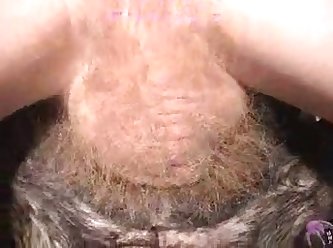 Dog Porn Tick