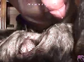 Dog Porn Tick
