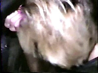 Dog Porn Pig