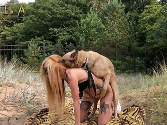 Webcam Girl Dog Porn