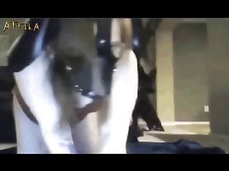 Webcam Masked Girl And Dog (part 2)